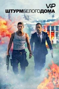 Штурм Белого дома (2013)
