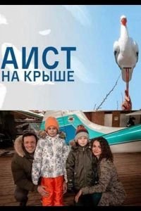Аист на крыше 1 сезон 